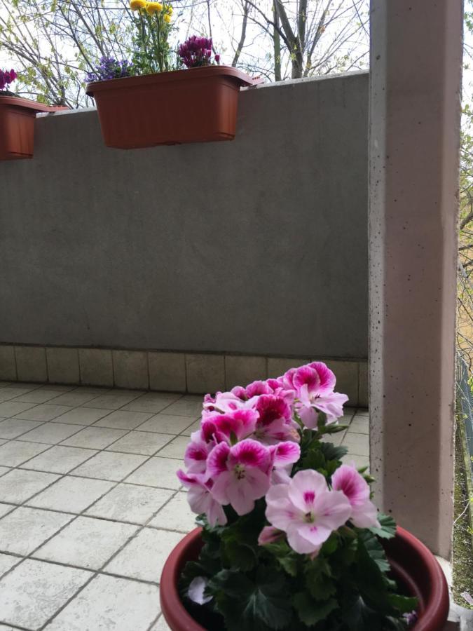 Appartamento Con Due Camere Da Letto E Free Park 베로나 외부 사진